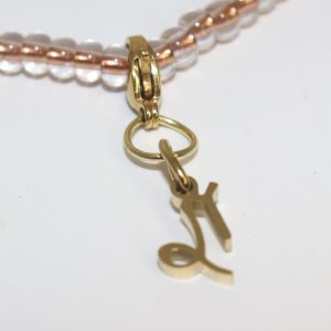 Sovereign Capricorn Zodiac Charm
