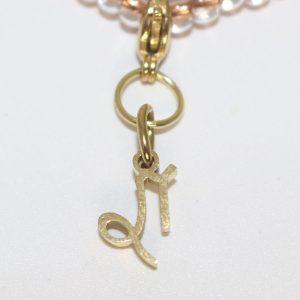 Sovereign Capricorn Zodiac Charm