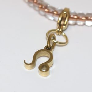 Radiant Leo Zodiac Charm